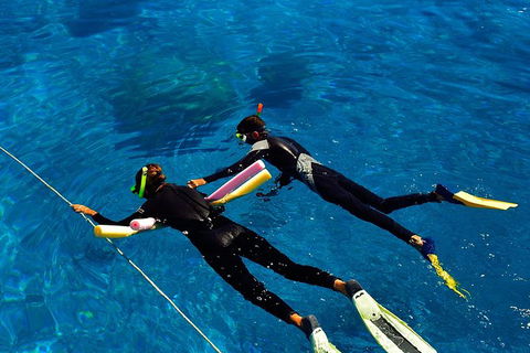 Great Barrier Reef Cruise From Townsville Or Magnetic Island - Accommodation Brunswick Heads 1