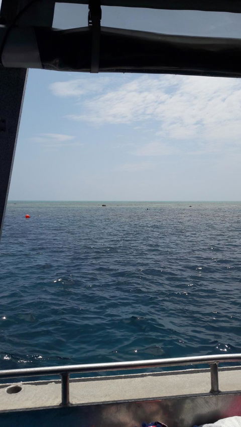 Great Barrier Reef Cruise From Townsville Or Magnetic Island - Accommodation Brunswick Heads 3