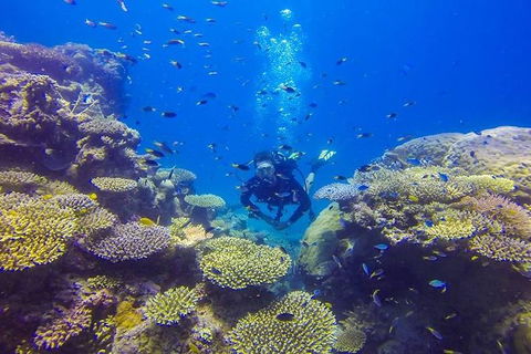 Great Barrier Reef Cruise From Townsville Or Magnetic Island - Accommodation Brunswick Heads 12