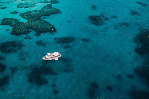 Great Barrier Reef Cruise From Townsville Or Magnetic Island - Accommodation Brunswick Heads 7