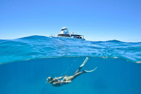 Great Barrier Reef Cruise From Townsville Or Magnetic Island - Accommodation Brunswick Heads 10
