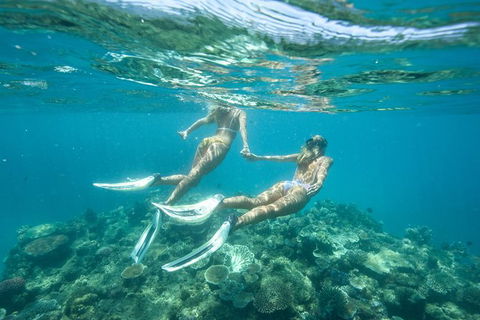 Great Barrier Reef Cruise From Townsville Or Magnetic Island - Accommodation Brunswick Heads 8