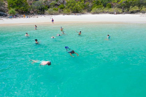 Stray Australia: Brisbane To Cairns - Freestyle Travel Pass - Accommodation Brunswick Heads 0