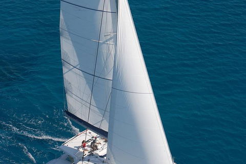 Afternoon Low Isles Snorkeling And Sailing Cruise From Port Douglas - Accommodation Brunswick Heads 1