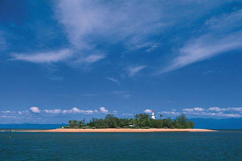 Afternoon Low Isles Snorkeling And Sailing Cruise From Port Douglas - Accommodation Brunswick Heads 10
