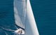 Afternoon Low Isles Snorkeling And Sailing Cruise From Port Douglas - thumb 11
