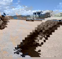 Magnetic Island Tour Maggie Comprehensive - Accommodation Brunswick Heads