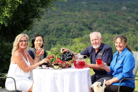 Atherton Tablelands Small-Group Food & Wine Tasting Tour From Port Douglas - Accommodation Brunswick Heads 17