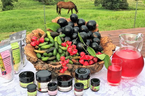 Atherton Tablelands Small-Group Food & Wine Tasting Tour From Port Douglas - Accommodation Brunswick Heads 12