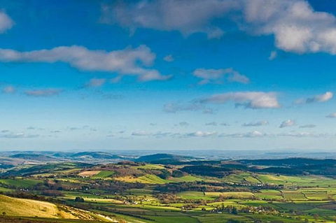 Atherton Tablelands Small-Group Food & Wine Tasting Tour From Port Douglas - Accommodation Brunswick Heads 20