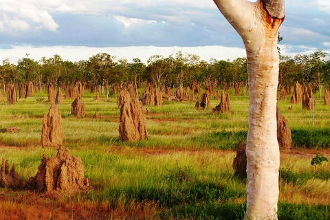 Atherton Tablelands Small-Group Food & Wine Tasting Tour From Port Douglas - Accommodation Brunswick Heads 18