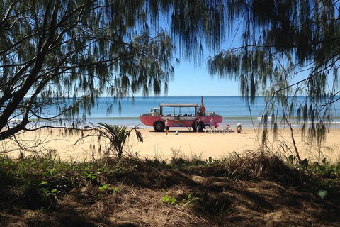 1770 Coastline Tour By LARC Amphibious Vehicle Including Picnic Lunch - Accommodation Brunswick Heads 0