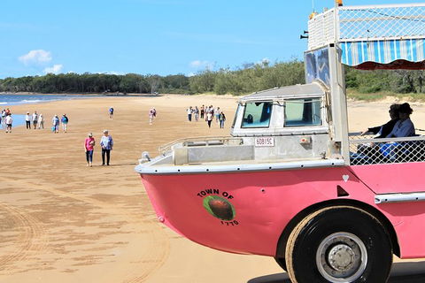 1770 Coastline Tour By LARC Amphibious Vehicle Including Picnic Lunch - Accommodation Brunswick Heads 8