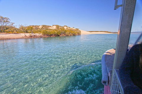 1770 Coastline Tour By LARC Amphibious Vehicle Including Picnic Lunch - Accommodation Brunswick Heads 12