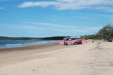 1770 Coastline Tour By LARC Amphibious Vehicle Including Picnic Lunch - Accommodation Brunswick Heads 6