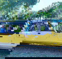 3.5 hour Eco Tour - Accommodation Brunswick Heads