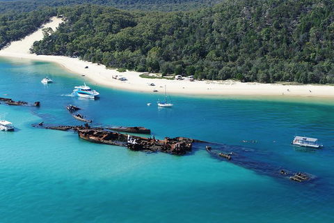 All Inclusive Dolphin And Tangalooma Wrecks Cruise Departing Gold Coast - Accommodation Brunswick Heads 0