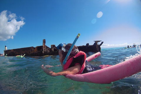 All Inclusive Dolphin And Tangalooma Wrecks Cruise Departing Gold Coast - Accommodation Brunswick Heads 1