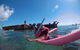 All Inclusive Dolphin And Tangalooma Wrecks Cruise Departing Gold Coast - thumb 4