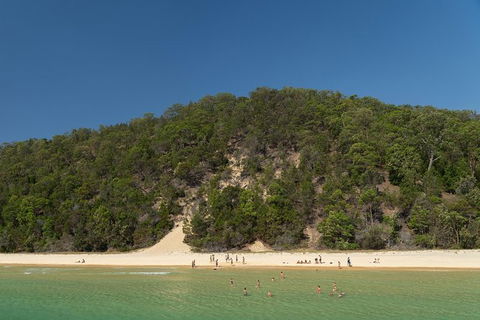 All Inclusive Dolphin And Tangalooma Wrecks Cruise Departing Gold Coast - Accommodation Brunswick Heads 3