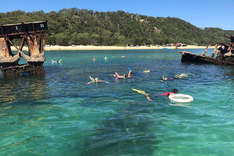 All Inclusive Dolphin And Tangalooma Wrecks Cruise Departing Gold Coast - Accommodation Brunswick Heads 9