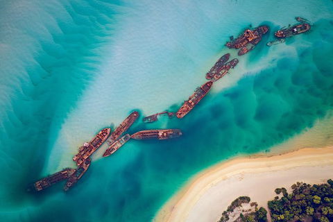 All Inclusive Dolphin And Tangalooma Wrecks Cruise Departing Gold Coast - Accommodation Brunswick Heads 6