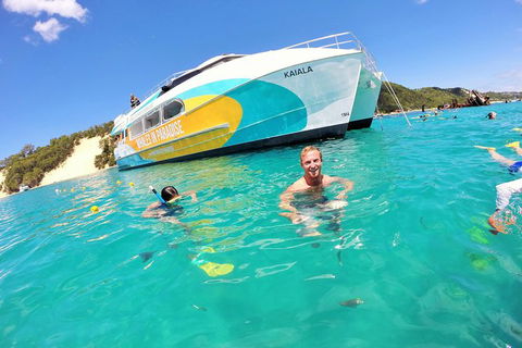 All Inclusive Dolphin And Tangalooma Wrecks Cruise Departing Gold Coast - Accommodation Brunswick Heads 2