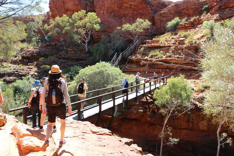 Kings Canyon Day Trip From Ayers Rock - Accommodation Brunswick Heads 19