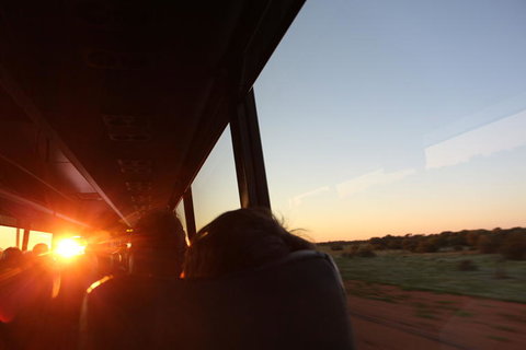 Kings Canyon Day Trip From Ayers Rock - Accommodation Brunswick Heads 22