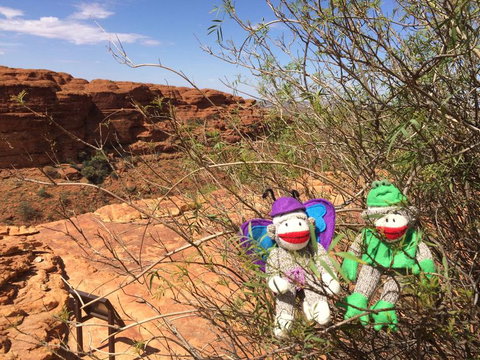 Kings Canyon Day Trip From Ayers Rock - Accommodation Brunswick Heads 23