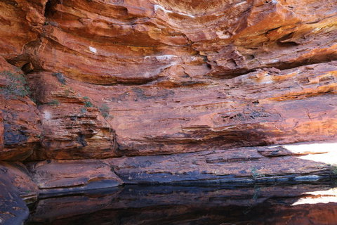 Kings Canyon Day Trip From Ayers Rock - Accommodation Brunswick Heads 16