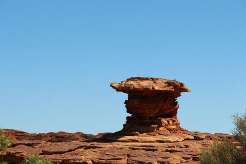 Kings Canyon Day Trip From Ayers Rock - Accommodation Brunswick Heads 17