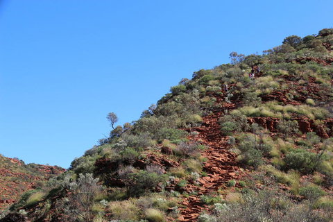 Kings Canyon Day Trip From Ayers Rock - Accommodation Brunswick Heads 21