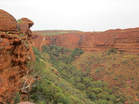 Kings Canyon Day Trip From Ayers Rock - Accommodation Brunswick Heads 13