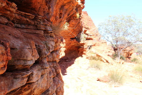 Kings Canyon Day Trip From Ayers Rock - Accommodation Brunswick Heads 20