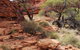 Kings Canyon Day Trip From Ayers Rock - thumb 24