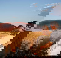 Uluru Ayers Rock Sunset with Outback Barbecue Dinner and Star Tour - Accommodation Brunswick Heads