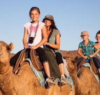 Alice Springs Camel Tour - Accommodation Brunswick Heads