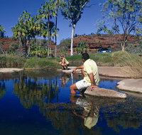 Palm Valley 4WD Tour - Accommodation Brunswick Heads
