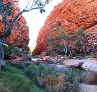 Half Day MacDonnell Ranges Small Group - Private Guided Tour - Accommodation Brunswick Heads