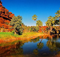Palm Valley 4WD Day Tour - Accommodation Brunswick Heads