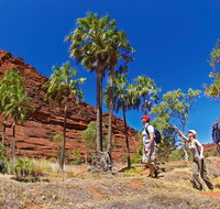 Palm Valley 4WD Tour from Alice Springs - Accommodation Brunswick Heads