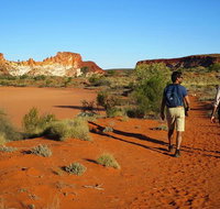 Chambers Pillar and Rainbow Valley 1 Day 4WD Tour - Accommodation Brunswick Heads