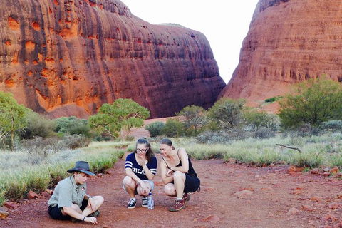 Afternoon Kata Tjuta Small Group Tour - Accommodation Brunswick Heads 7