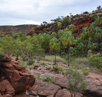 Palm Valley and Hermannsburg 1 Day 4WD Tour - Accommodation Brunswick Heads