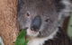 All Inclusive Blue Mountains Small-Group Day Trip From Sydney - thumb 1