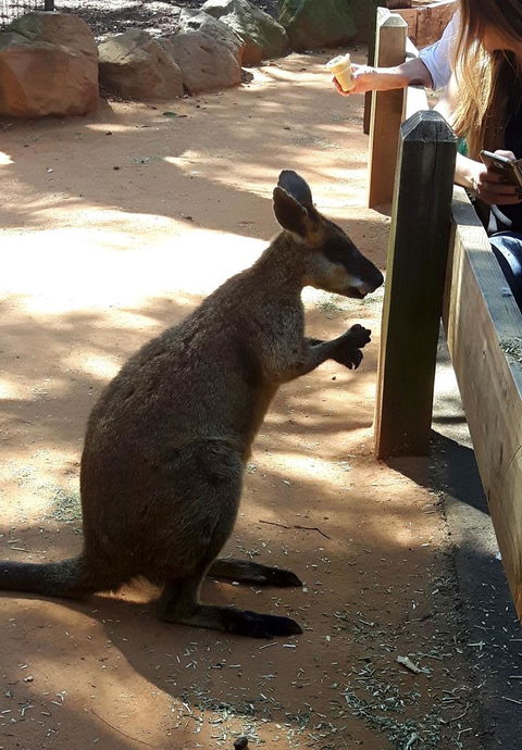 All Inclusive Blue Mountains Small-Group Day Trip From Sydney - Accommodation Brunswick Heads 25