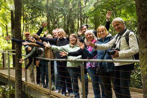 All Inclusive Blue Mountains Small-Group Day Trip From Sydney - Accommodation Brunswick Heads 30