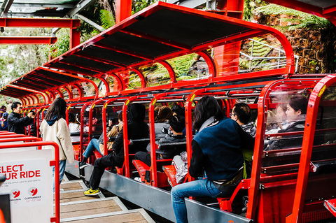 All-Inclusive Blue Mountains Day Trip With River Cruise - Accommodation Brunswick Heads 7