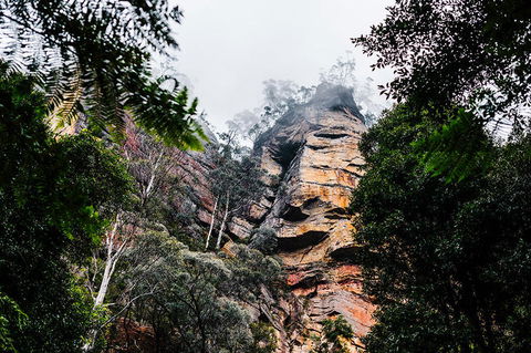 All-Inclusive Blue Mountains Day Trip With River Cruise - Accommodation Brunswick Heads 3